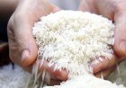 Lần đầu tiên trong lịch sử, Việt Nam chi 1 tỷ USD nhập khẩu gạo