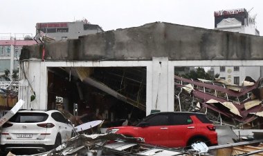 Đề xuất giảm 30% tiền thuê đất, giảm nhiều hơn với 26 tỉnh thiệt hại do bão Yagi