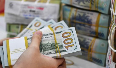 Giá USD tự do lao dốc