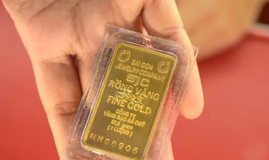 Giá vàng hôm nay 30/9/2024 trong nước trên đỉnh kỷ lục, thế giới bất ngờ giảm