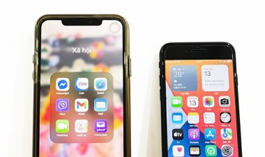 Máy rửa bát giảm giá mạnh; cú lừa thịt trâu giá rẻ thành thịt bò thượng hạng